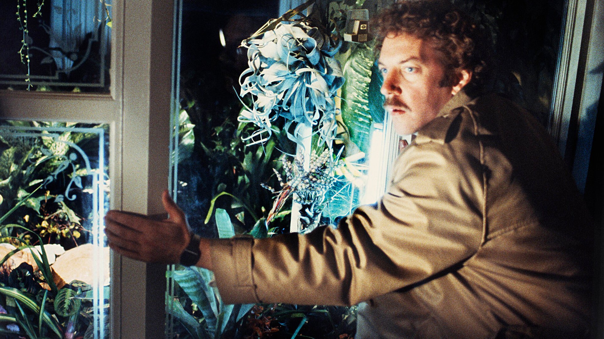 Invasion of the Body Snatchers