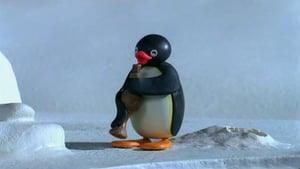 Pingu, Season 6 Episode 17 image