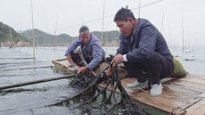 Flavorful Origins, Season 1 Episode 7 image