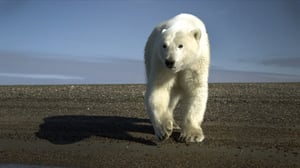 I Was Prey, Season 1 Episode 4 image