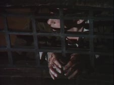 Secret Army, Season 3 Episode 6 image