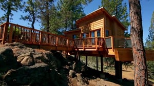 Treehouse Masters, Season 11 Episode 3 image