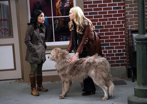 Are You There, Chelsea - Season 1 - "Strays" - Ali Wong as Olivia and Laura Prepon as Chelsea