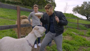 The Lowe Files, Season 1 Episode 7 image