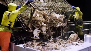 Deadliest Catch, Season 17 Episode 2 image