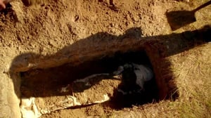 Revolution, Season 1 Episode 12 image