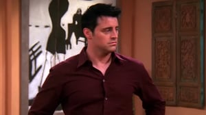 Friends, Season 9 Episode 4 image