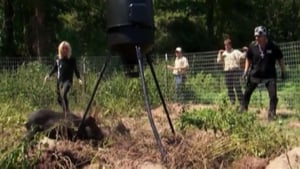 Billy the Exterminator, Season 3 Episode 15 image