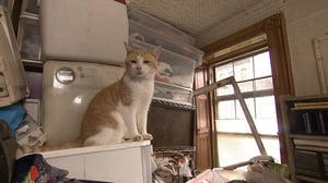 Hoarders, Season 4 Episode 12 image