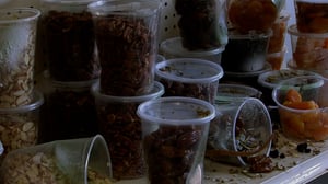 Life After People, Season 2 Episode 4 image