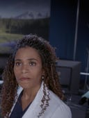Grey's Anatomy, Season 19 Episode 14 image