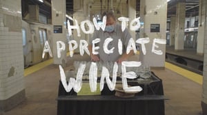 How to with John Wilson, Season 2 Episode 2 image