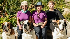 Pilgrimage, Season 2 Episode 1 image