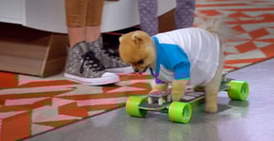 Bizaardvark, Season 1 Episode 5 image