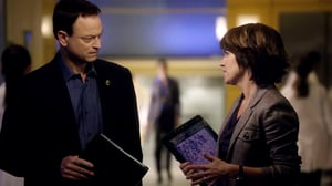 CSI: NY, Season 8 Episode 9 image