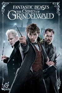 Fantastic Beasts: The Crimes of Grindelwald as Credence Barebone