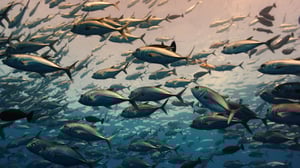 Journey with Dylan Dreyer, Season 1 Episode 19 image