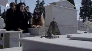 Sasmos, Season 1 Episode 100 image