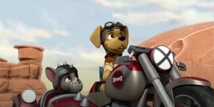 PAW Patrol, Season 7 Episode 20 image