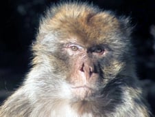 Water Life, Season 1 Episode 10 image