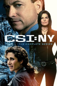 CSI: NY as Frank Waters