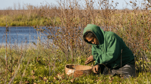 Life Below Zero, Season 12 Episode 10 image