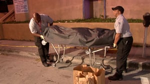 The First 48, Season 11 Episode 8 image