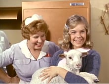 Hazel, Season 3 Episode 12 image