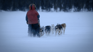 Life Below Zero, Season 5 Episode 10 image