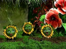 Bingo & Molly, Season 1 Episode 16 image