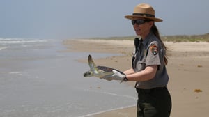 Lone Star Law, Season 4 Episode 1 image