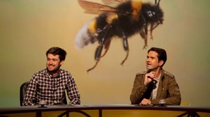 QI, Season 11 Episode 8 image