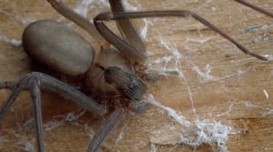 Intruders, Season 1 Episode 4 image