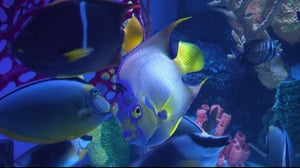 Tanked, Season 5 Episode 5 image