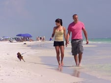 House Hunters, Season 63 Episode 11 image