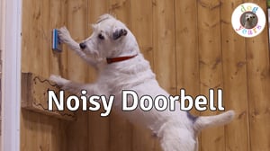 Dog Years, Season 1 Episode 8 image