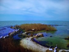 Wildest Europe, Season 1 Episode 2 image