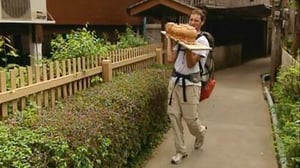 The Amazing Race, Season 9 Episode 11 image