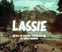 Lassie, Season 12 Episode 21 image
