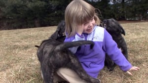 Dogs 101, Season 3 Episode 1 image