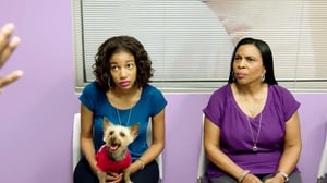 The Vet Life, Season 2 Episode 5 image