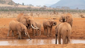 Our Changing Planet, Season 2 Episode 2 image