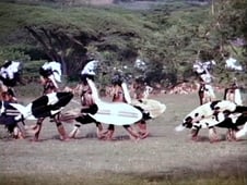 Shaka Zulu, Season 1 Episode 2 image