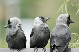 Terra Mater, Season 1 Episode 47 image