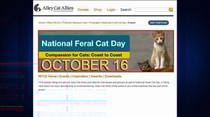 Conan, Season 1 Episode 154 image