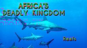 Africa's Deadly Kingdoms, Season 1 Episode 3 image