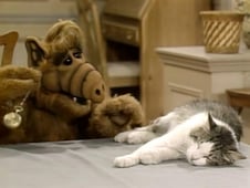 ALF, Season 1 Episode 3 image
