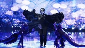 The Masked Singer's Raven Was Exactly Who We Expected
