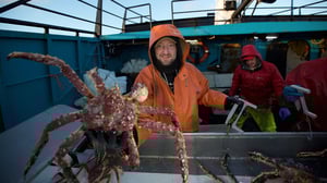 Deadliest Catch, Season 13 Episode 1 image