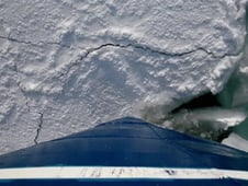 The Polar Bear Family & Me, Season 1 Episode 1 image